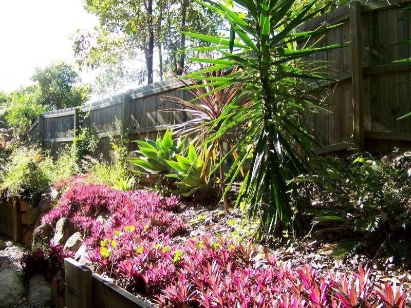 8/976 Samford Road, Keperra QLD 4054