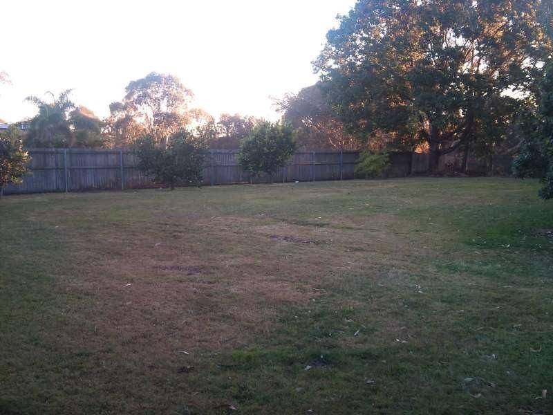 46 Whitehall Avenue, Birkdale QLD 4159