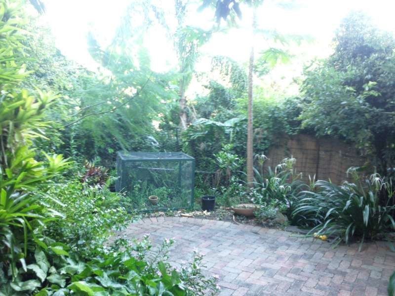 36 Normanby Terrace, Kelvin Grove QLD 4059