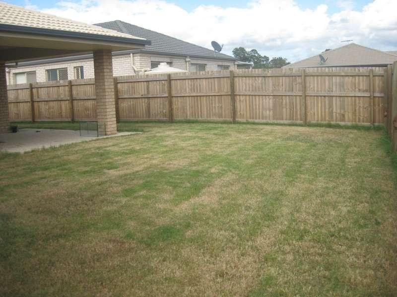 54 Daintree Street, Bellmere QLD 4510