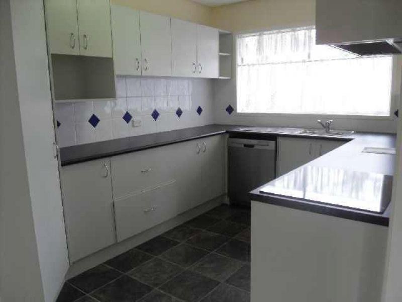 559 Cavendish Road, Coorparoo QLD 4151