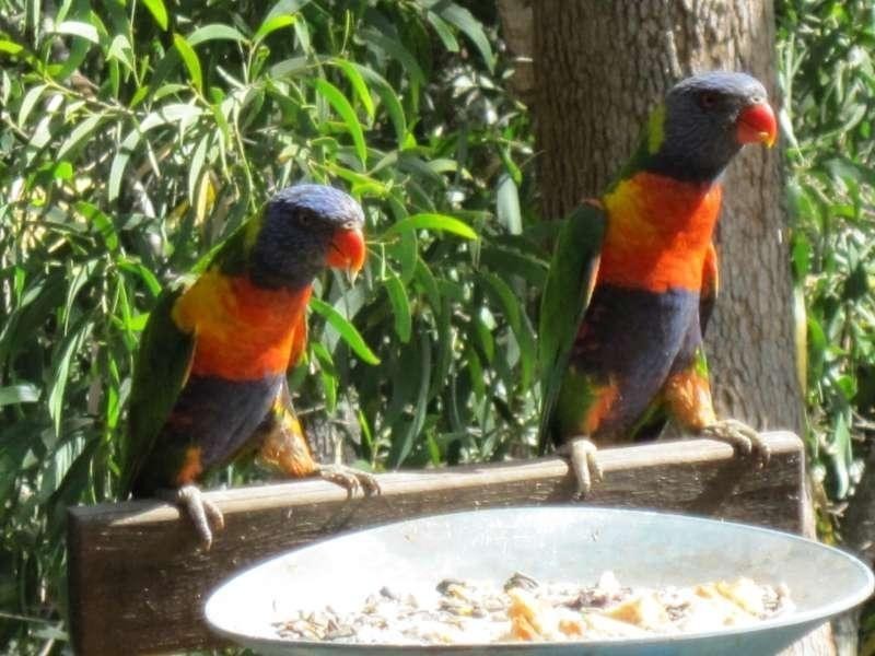 18 Paterson Street, Seventeen Mile Rocks QLD 4073