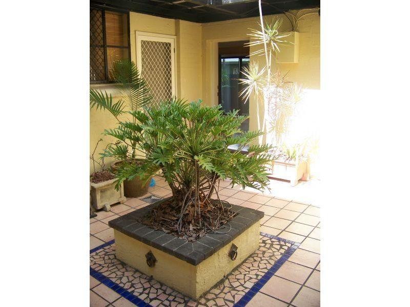 3/12 Bailey Street, New Farm QLD 4005