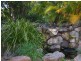 273 Birdwood Terrace, Toowong QLD 4066