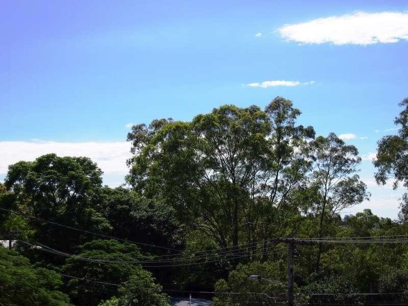 169 Jerrang Street, Indooroopilly QLD 4068