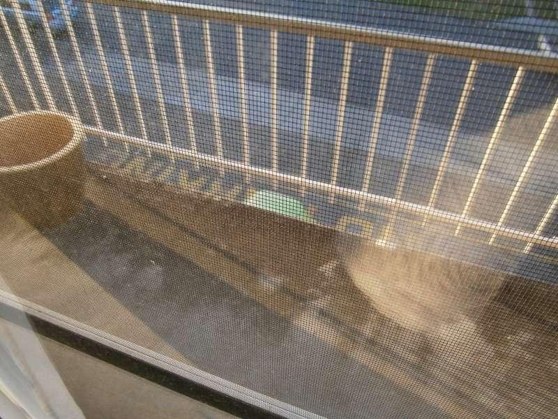 13/99 Brisbane Street, Bulimba QLD 4171