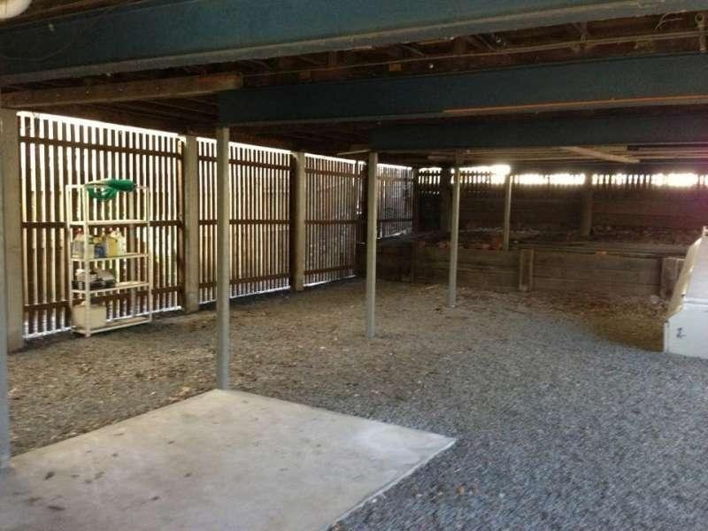 2 Bancroft Street, Kelvin Grove QLD 4059