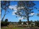 19 Macdonald Place, Carseldine QLD 4034