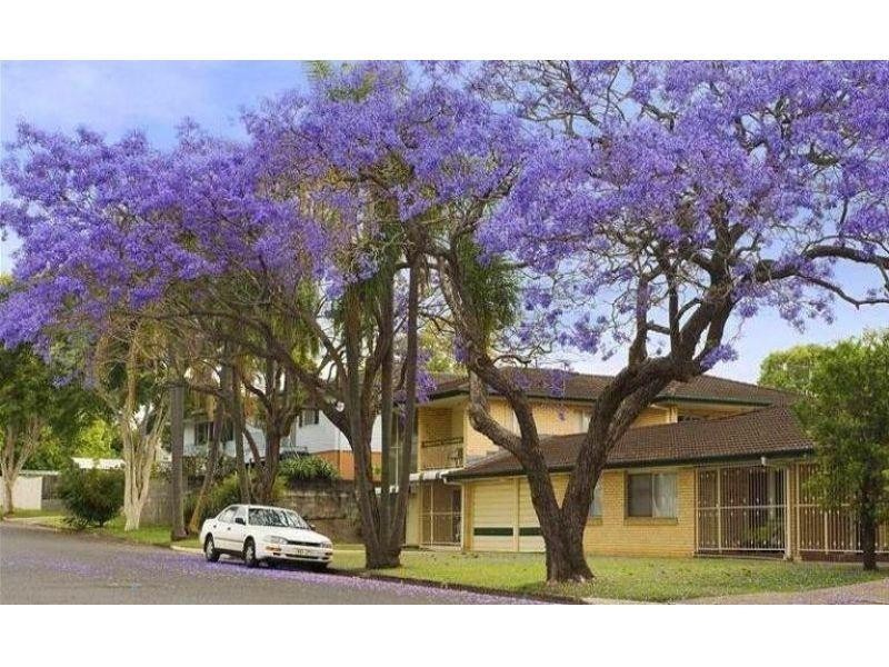 4/60 Chalk Street, Wooloowin QLD 4030