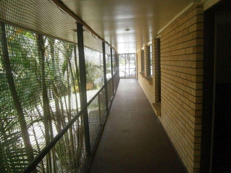 20A Cootha Street, Everton Park QLD 4053