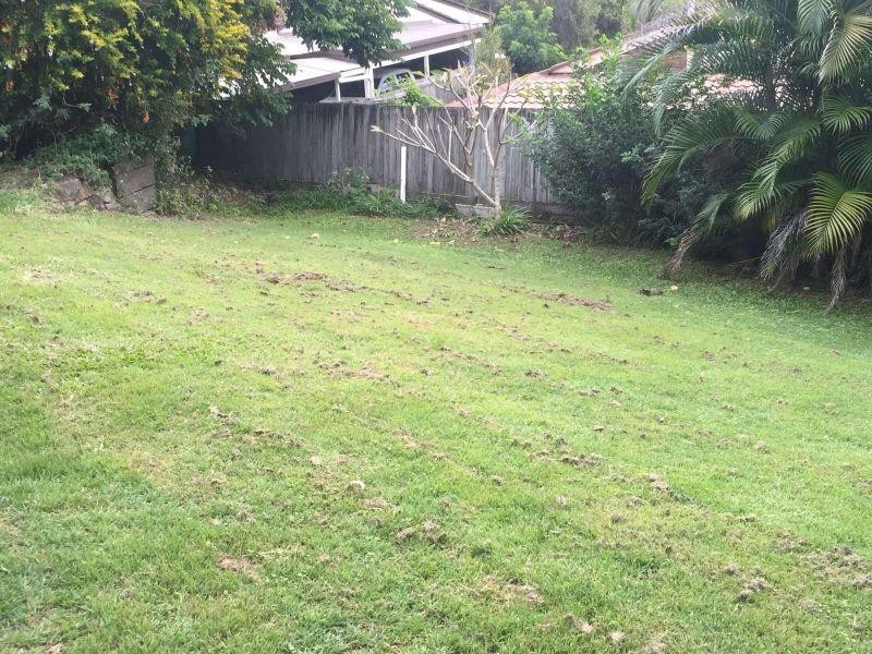 1223 Waterworks Rd, The Gap QLD 4061
