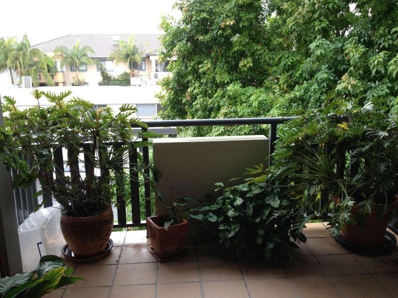 12/15 Newstead Avenue, Newstead QLD 4006