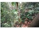 5 Balmore Street, Indooroopilly QLD 4068