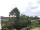 15 Cairnlea Drive, Pimpama QLD 4209