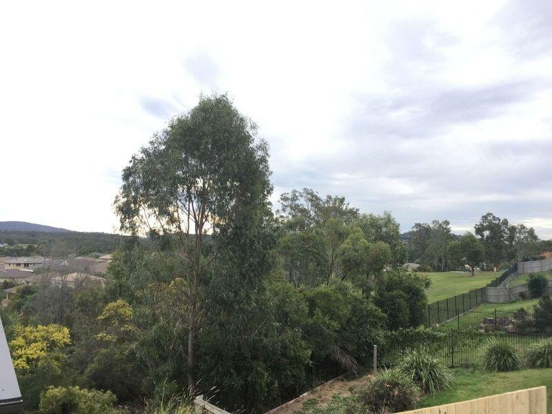 15 Cairnlea Drive, Pimpama QLD 4209