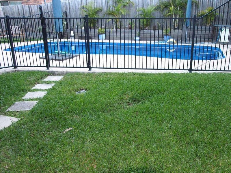 3/37 Carisbrook Circuit, Forest Lake QLD 4078