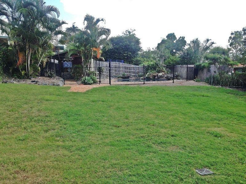 31 Aronia Street, Kenmore QLD 4069