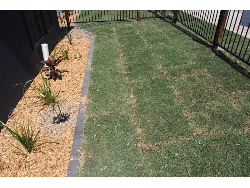 77 Springfield Central Boulevard, Springfield Lakes QLD 4300