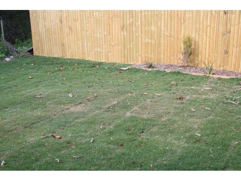 2/388 Old Logan Road, Camira QLD 4300