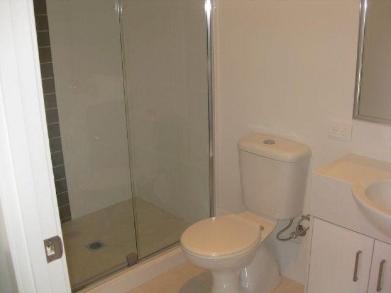 14 Chamomile Street, Springfield Lakes QLD 4300