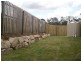 20 Benjamina Drive, Redbank Plains QLD 4301