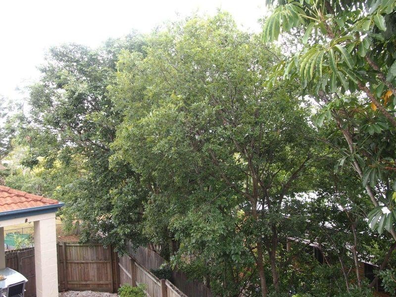 6/262 Cavendish Road, Coorparoo QLD 4151