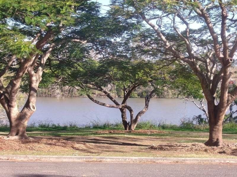 49 Anita Street, Yeronga QLD 4104