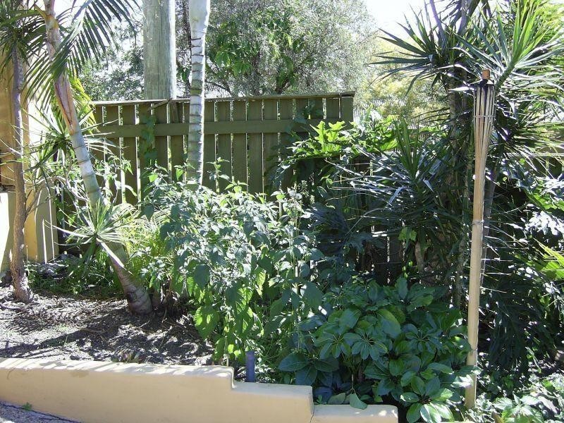 64 Illidge Street, Coorparoo QLD 4151