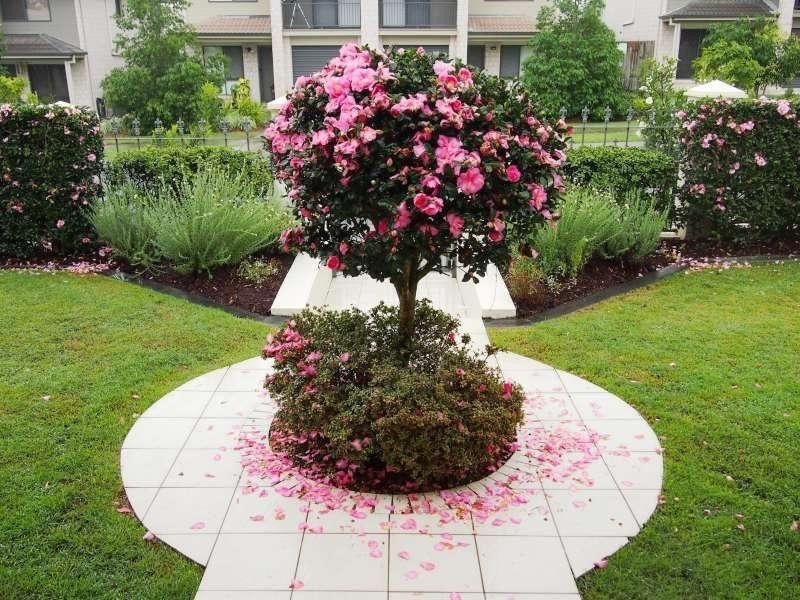 Sunnybank Hills QLD 4109