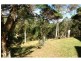 295 Bahrs Scrub Road, Bahrs Scrub QLD 4207