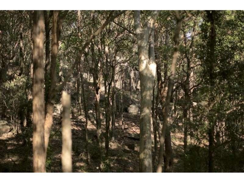 11 Sharon Street, Moorooka QLD 4105