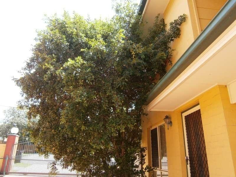 1/30 Iris Street, Holland Park QLD 4121