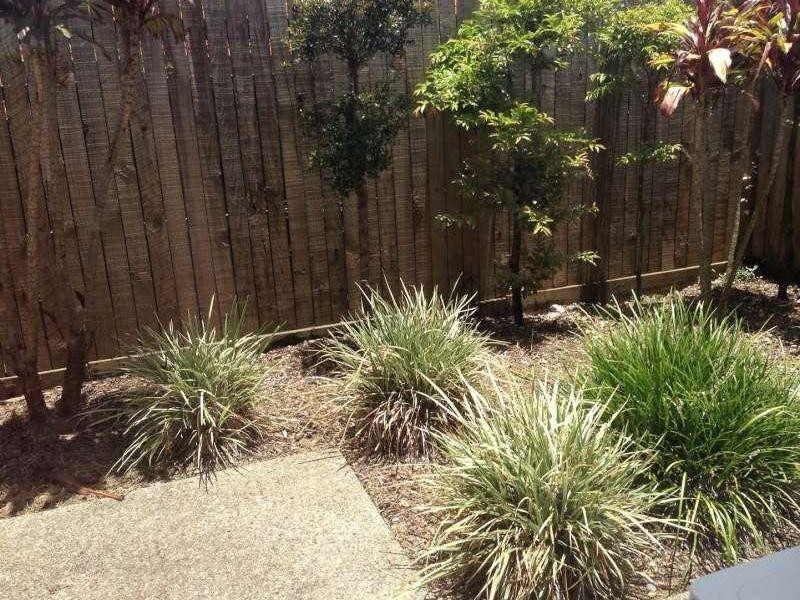 55/104 Kate Street, Carina QLD 4152