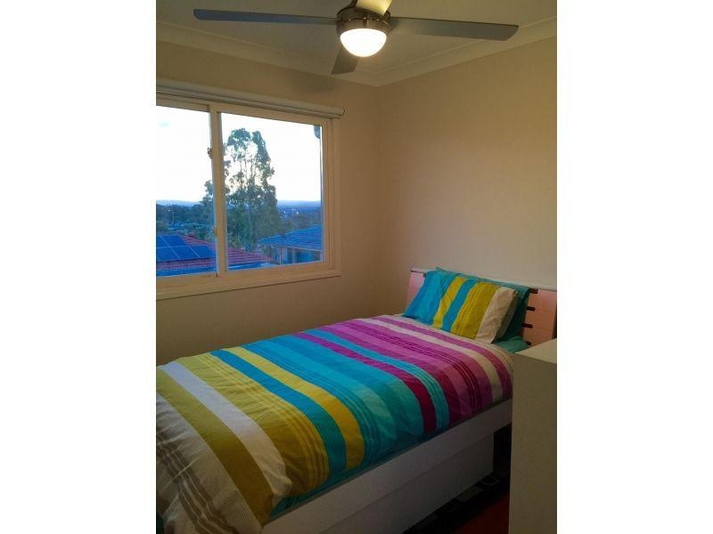 41 Newcombe Street, Sunnybank Hills QLD 4109