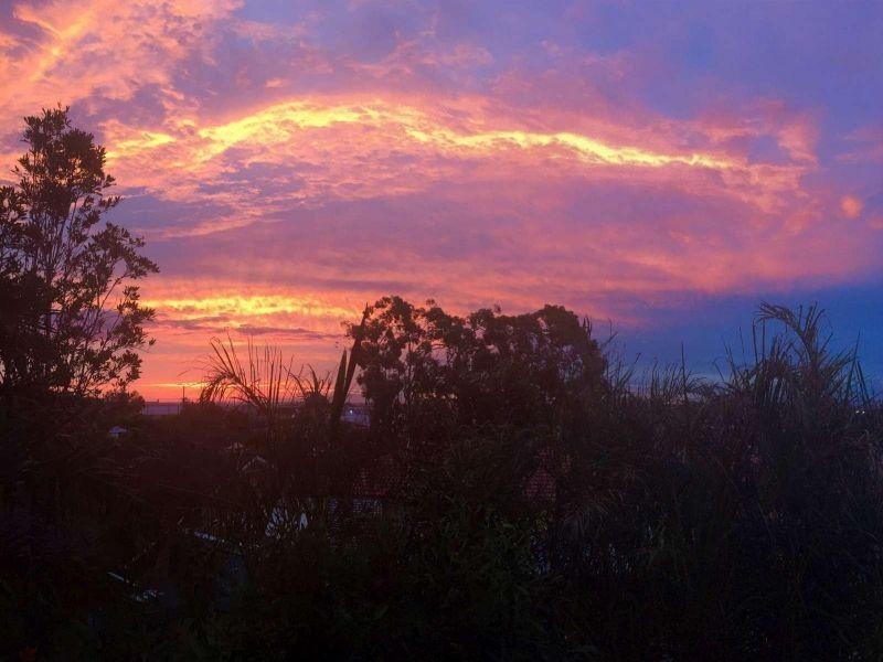 41 Newcombe Street, Sunnybank Hills QLD 4109