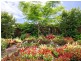 38 Werin Street, Tewantin QLD 4565