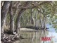 1A ‘Weycoola’ Lake Weyba Drive, Weyba Downs QLD 4562