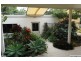 19 Sleepy Hollow Drive, Noosa Heads QLD 4567