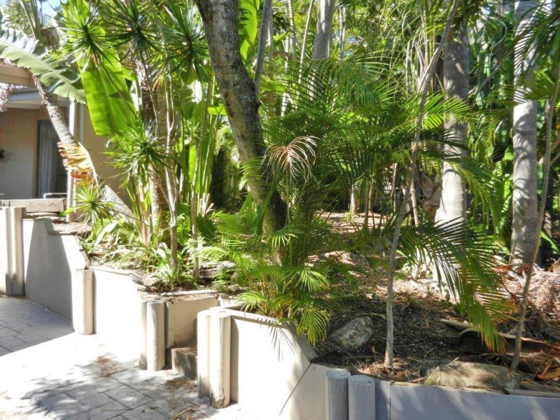 34 Banksia  Avenue, Noosa Heads QLD 4567