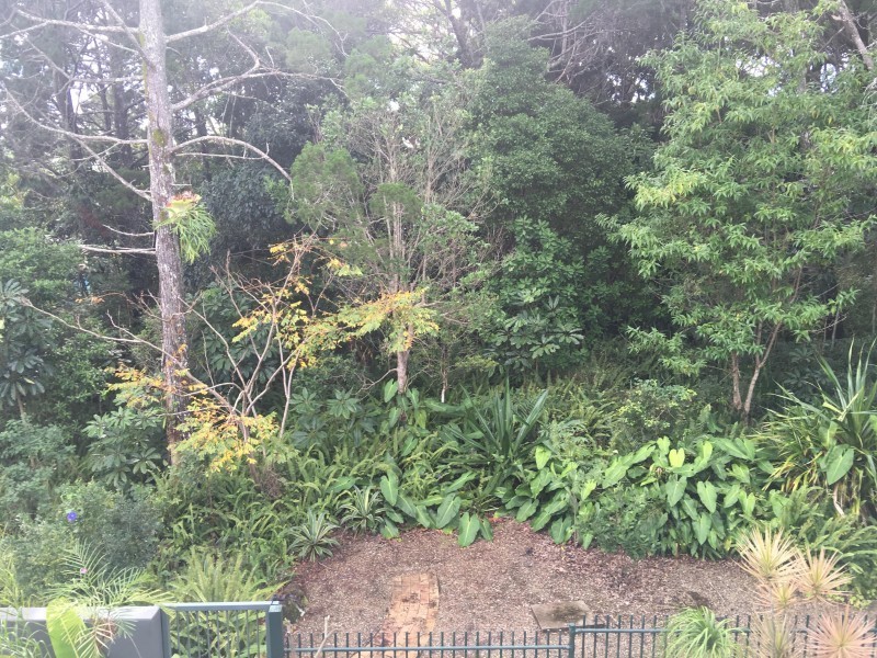 Noosa Heads QLD 4567