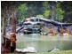 Cooroibah QLD 4565
