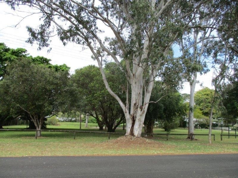 86 Gympie Street, Tewantin QLD 4565