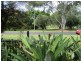 86 Gympie Street, Tewantin QLD 4565