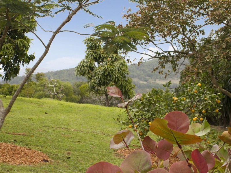 450-462 Eumundi Range Road, Eumundi QLD 4562