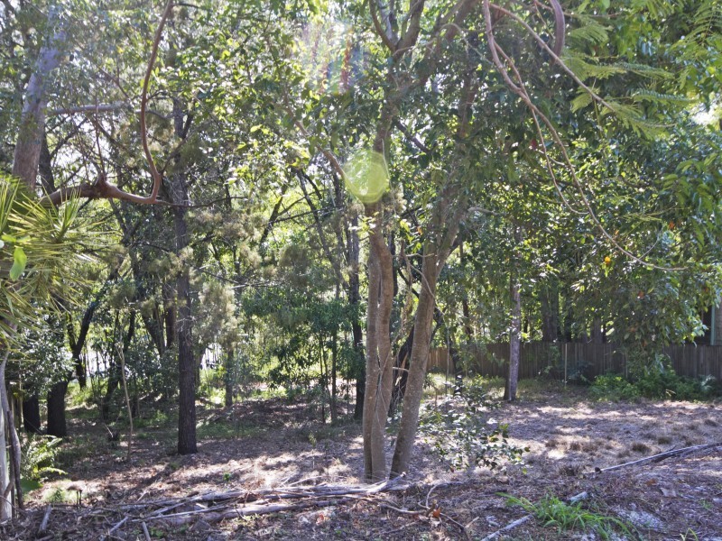 17 Warana Street, Noosa Heads QLD 4567