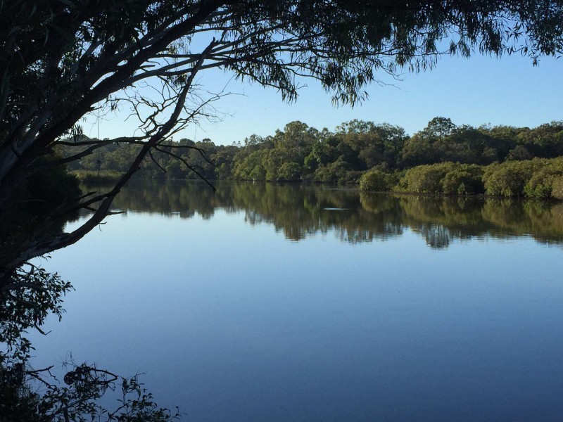 17 Warana Street, Noosa Heads QLD 4567