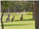 Lot 2, 8 Amaroo Place, Cooroibah QLD 4565