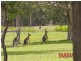 Lot 2, 8 Amaroo Place, Cooroibah QLD 4565
