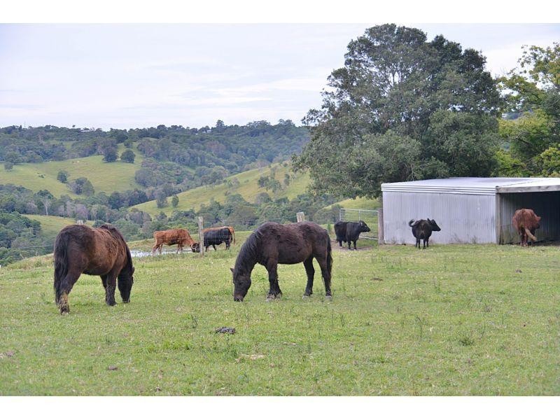 532 Black Mountain Road, Black Mountain QLD 4563