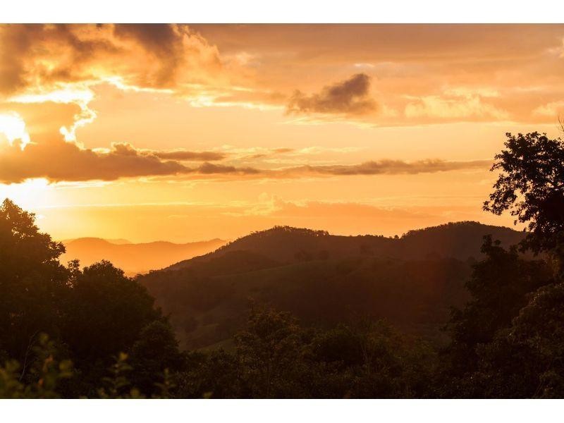 532 Black Mountain Road, Black Mountain QLD 4563